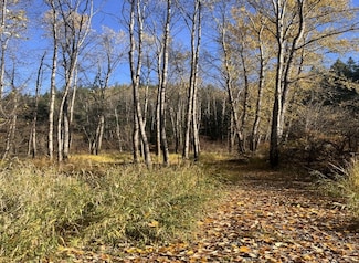 0 French Gulch Rd Unit 15685394, Kingston, ID 83839