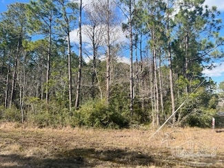 339I San Antonio Dr, Milton, FL 32583