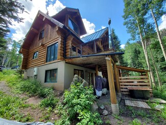 31 Beeslack Ln, Telluride, CO 81320