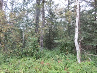 L7 B2 Dorothy Dr, Lazy Mountain, AK 99645