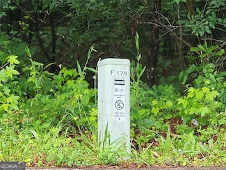 179 Ashley Trace Dr, Locust Grove, GA 30248