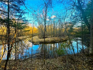 20 Acres On Thornapple Rd, Ladysmith, WI 54848