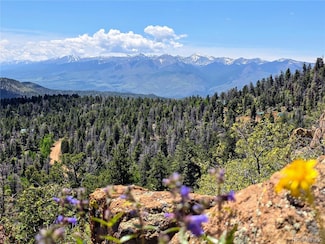 53 Trail Dr, Cotopaxi, CO 81223