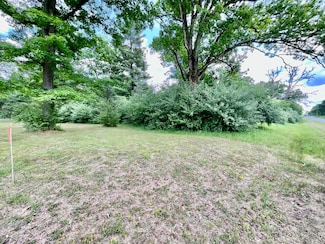 4456 N Evergreen Dr, White Cloud, MI 49349