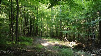99999 Holbert Cabin Ln, Tryon, NC 28782