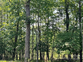 1015 Cross Ridge Dr, Rutherfordton, NC 28139