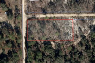 0 NE 105th Ave Unit MFRTB8402616, Bronson, FL 32621