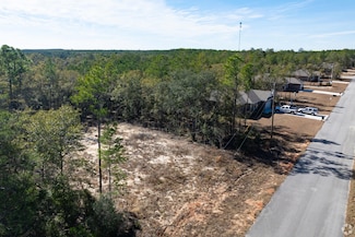 Lot 6 Black Bear Ct, Defuniak Springs, FL 32435