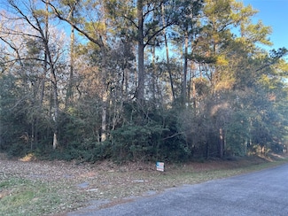 LOT 8 & 9 Chestnut Dr, Wildwood, TX 77625