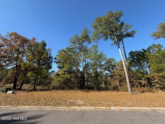 3777 River Park Way NE, the Bluffs On the Cape Fear, NC 28451