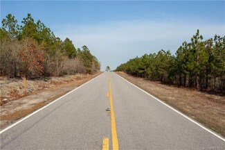 0000 Saint John Church Rd, Patrick, SC 29584