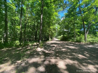 8101 Donovan Rd, Webster Township, MI 48130