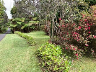 19-4039 Kalani Honua Rd, Volcano, HI 96785
