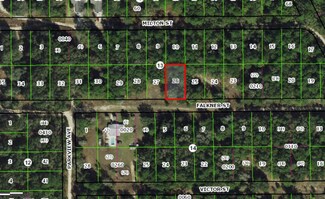 2006 Falkner St, Inverness, FL 34453