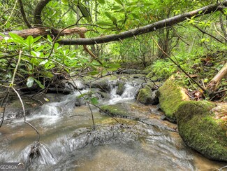 LOT 44 Synacia Dr, Mineral Bluff, GA 30559