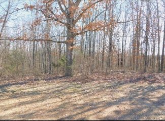 Tbd Big Deer Run Unit Lot 9, West Plains, MO 65775