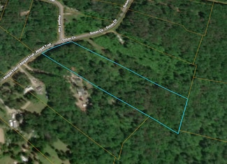 312 Abigail Trail, Deer Lodge, TN 37726