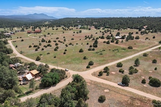 25 Mockingbird Hill Rd, Ponderosa Pine, NM 87059