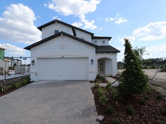 Magnolia, Wesley Chapel, FL 33545