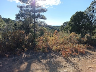 Lot 86 Ponderosa Hills, Trinidad, CO 81082