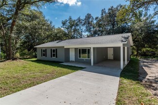 16615 SE 63rd Ln, Ocklawaha, FL 32179