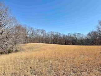 15ACRES Monk House Rd, Somerville, TN 38068