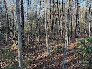 16-16 Waters Edge Dr Unit 16-16, Nebo, NC 28761