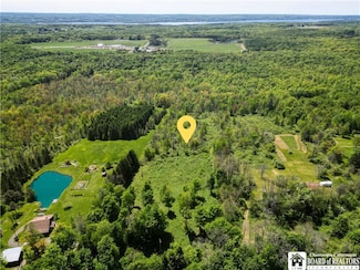 00 Ellery-Centralia Rd, Bemus Point, NY 14712