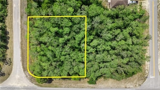 573 Ladd St, Lehigh Acres, FL 33974