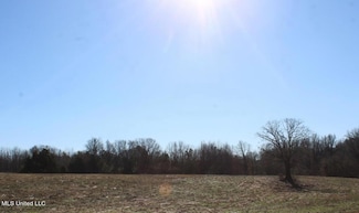 7002 Old Highway 301, Lake Cormorant, MS 38641