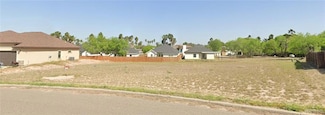 00 Palm Shores, La Joya, TX 78560