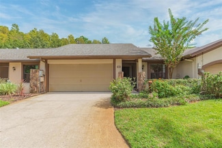 3923 Shoreside Cir, Tampa, FL 33624