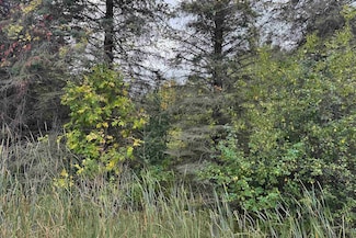 0 W Vienna Rd, Clio, MI 48420
