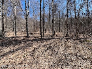 Lot 37 Johnson Hill Rd, Greenfild Township, PA 18407