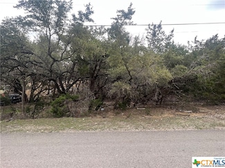 809 Scenic Run, Canyon Lake, TX 78133