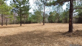 Tract 1-A Louisiana 1058, Roseland, LA 70456
