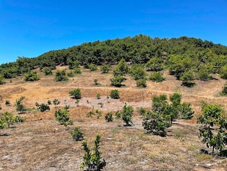 2 Via Vaquero Rd, Temecula, CA 92590