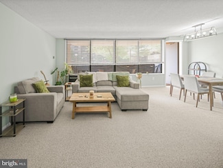 3701 S George Mason Dr Unit 116N, Falls Church, VA 22041