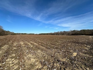 0 Glenn Loop Unit 23073442, Swainsboro, GA 30401