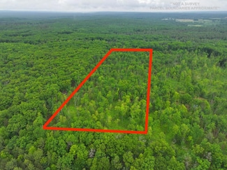 V/L 10.09A E Abermanis Trail, Luther, MI 49656