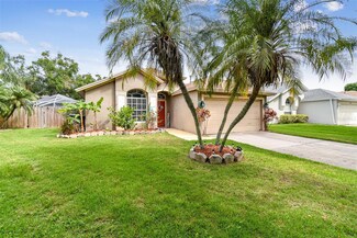 1411 Scotch Pine Dr, Brandon, FL 33511