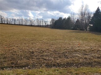0-A Brown Rd, Corfu, NY 14036
