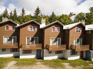 135 Quarter Mile Rd Unit Drifter 6, Stratton, VT 05360