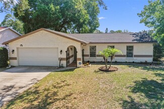 13925 Cherry Dale Ln, Tampa, FL 33618