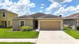 14524 Dunrobin Dr, Wimauma, FL 33598