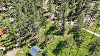 TBD Saint Joseph St, West Pennington, SD 57702
