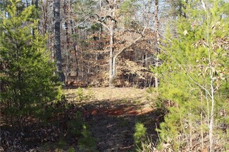 10.05 Acres Stockton Ln, Tryon, NC 28782