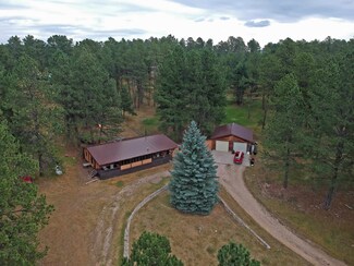 12210 Tweety Bird Ln, Custer, SD 57730