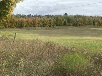 tbd van and Nichols Rd, Pellston, MI 49769