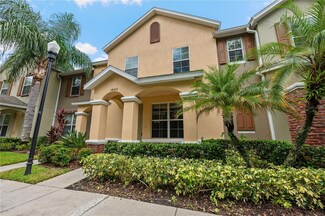 14169 Stowbridge Ave, Tampa, FL 33626